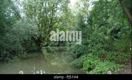 River Leam, Warwickshire Banque D'Images