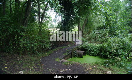 Dans la rivière Leam Newbold Comyn Country Park, Royaume-Uni Banque D'Images