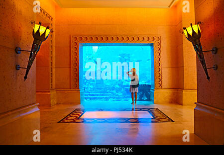 Sillouette de la femme de prendre une photographie en grand aquarium à Dubaï Banque D'Images