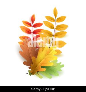 Les feuilles d'automne. Automne feuilles de chêne très colorés. Modèle pour les affiches. Vente saisonnière en boutique. Vector Illustration Illustration de Vecteur