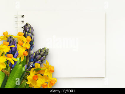 Jacinthe et fleurs de narcisses à corner arrangement avec notepad sur fond blanc. Mise à plat. Vue d'en haut. Banque D'Images