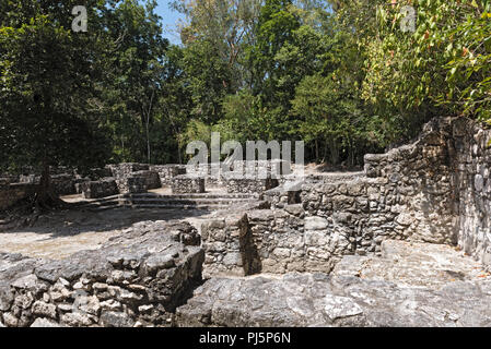 Les ruines de l'ancienne cité Maya de Calakmul, Campeche, Mexique. Banque D'Images