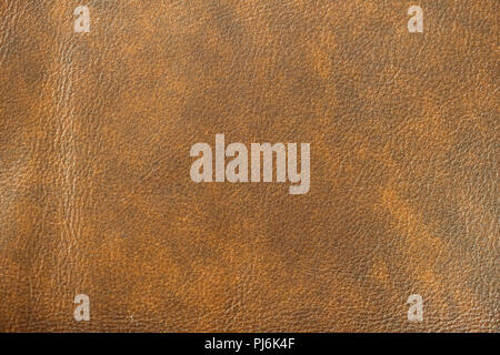 La texture de cuir véritable, repéré, peint, avec ride, crease, couleur marron, fond, surface. Banque D'Images