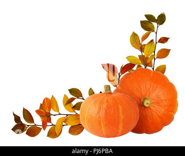 Deux citrouilles orange et l'automne avec les feuilles colorées des brindilles dans l'arrangement de coin isolé sur fond blanc Banque D'Images