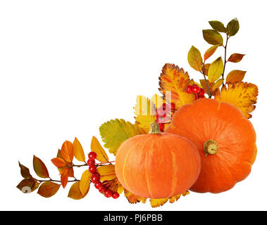 Deux citrouilles orange, l'aubépine baies et les feuilles d'automne dans l'arrangement de coin isolé sur fond blanc Banque D'Images