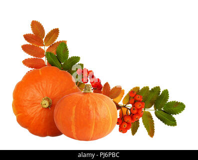 Deux citrouilles orange, rowanberries et les feuilles d'automne dans l'arrangement de coin isolé sur fond blanc Banque D'Images