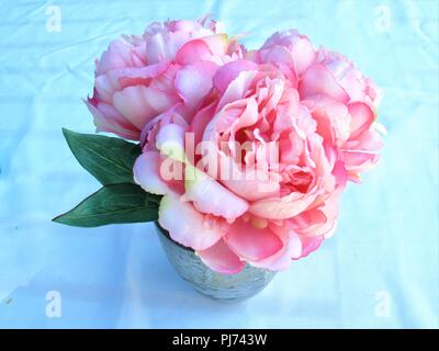 Rose et blanc coloré de pivoines dans un vase sur un fond blanc Banque D'Images