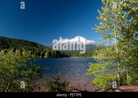 Mt. Shasta en Californie du Nord vues de jour dans les montagnes Siskiyou Banque D'Images