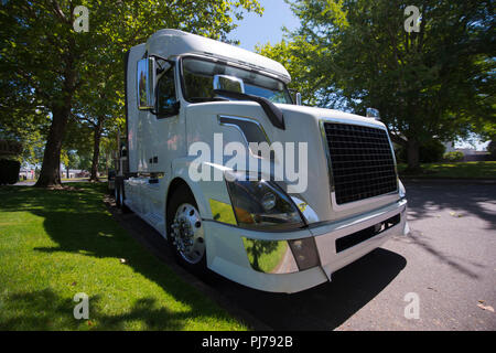 Camions semi Big Rigs de marques différentes modèles et couleurs sont alignés dans les parcs de stationnement, arrêt de camion ou de la rue lieux à pourvoir reste déjeuner Banque D'Images