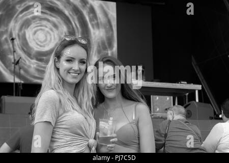 Dun Laoghaire, en Irlande. 3 Août, 2018. Les gens s'amusant à l'BeatYard Festiva Crédit : Fabrice Jolivet Banque D'Images