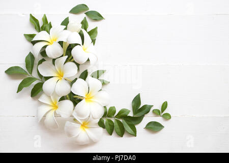 Fleur blanche frangipani parfums et arrangement des feuilles sur fond blanc Banque D'Images