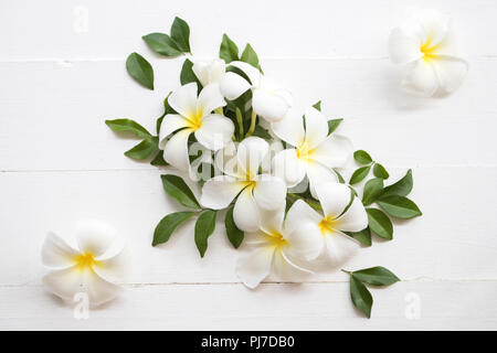 Fleur blanche frangipani parfums et arrangement des feuilles sur fond blanc Banque D'Images