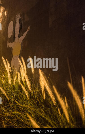 Pass-A-Grille, en Floride, Cartoon, graphiques, graffiti, un parking spécial pour les 'Harley Davidson Motor Cycles', 'partie sous les lumières', la partie de la rue Banque D'Images