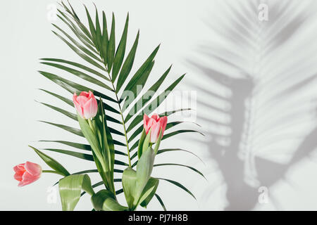 Bouquet de tulipes roses trois avec branche de palmier d'ombre sur mur blanc. Un minimum de composition florale. Banque D'Images