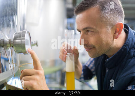 Bel homme travaillant dans brewery Banque D'Images