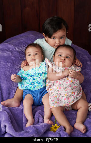 Portrait de petit groupe bébés sur fond de studio en bois Banque D'Images