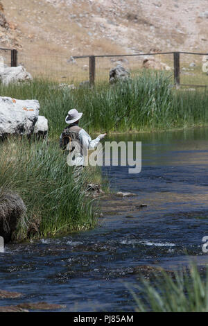 Pêcheur sur la rive de la rivière Owens au ruisseau chaud zone truite sauvage en Mono County California USA Banque D'Images