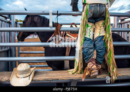 Rodeo Cowboy prêt à bareback ride au Texas rodéo. USA Banque D'Images