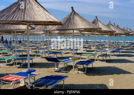 Des chaises longues et des parasols sur la plage en Fushë-Draç près de Durres, Durrës, en Albanie Banque D'Images