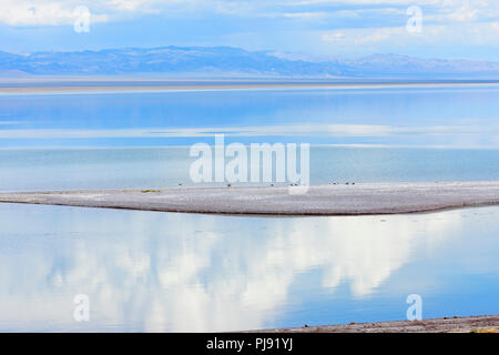 L'Khyargas Nuur, un lac d'eau salée dans le district, la Mongolie. Khyargas Banque D'Images