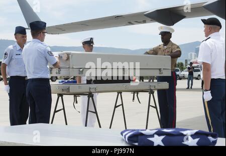 Service américain membres affectés à la défense nationale POW/MIA Agence Comptable (DPAA), fermer une boîte de transfert au cours d'une cérémonie de rapatriement, Da Nang, République socialiste du Vietnam, le 8 juillet 2018. La cérémonie a été menée à l'appui de la DPAA a pour mission d'assurer au mieux de nos comptables employés manquants à leurs familles et à la nation. Banque D'Images