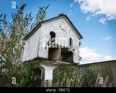 Un vieux ancien pigeonnier à restaurer Banque D'Images