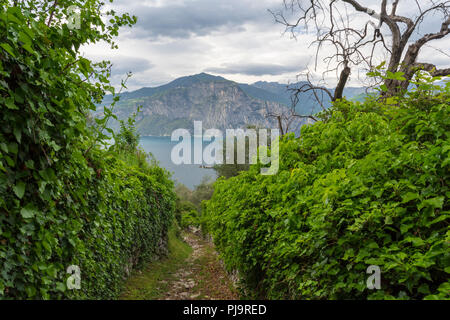 Ancienne allée étroite du village Assenza di Brenzone sur le côté est du lac de Garde jusqu'aux champs, photo de l'Italie. Banque D'Images