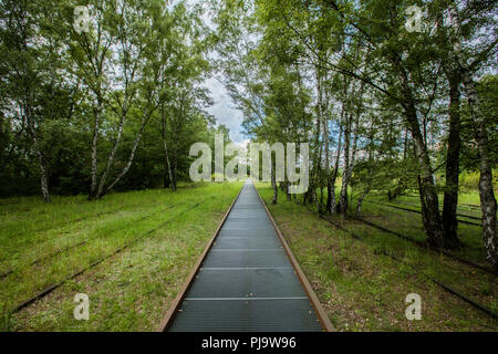 Schoneberger Sudgelande Nature Park, Berlin, Allemagne - 30 août 2017 - Chemin de ronde à l'Sudgelande réserver Banque D'Images