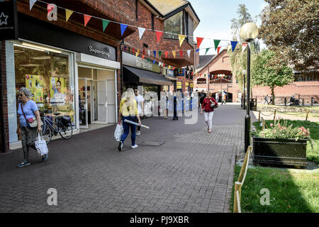 Des clients entreprises de la malterie, Salisbury, où il est ouvert au public après des semaines de fermeture alors que les recherches ont été en cours dans le cadre de l'affaire Novichok. La SCP a émis un mandat d'arrêt européen pour l'extradition des deux ressortissants russes, Alexander Petrov et Ruslan Boshirov, en lien avec l'attaque sur l'empoisonnement Novichok Sergueï Skripal et sa fille Julia en mars. Banque D'Images