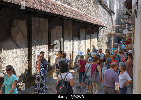 Le tourisme de la mer Baltique, les touristes d'été voir d'énormes pierres tombales médiévales fixés à un mur en Katarina kaik dans la vieille ville de Tallinn, Estonie. Banque D'Images