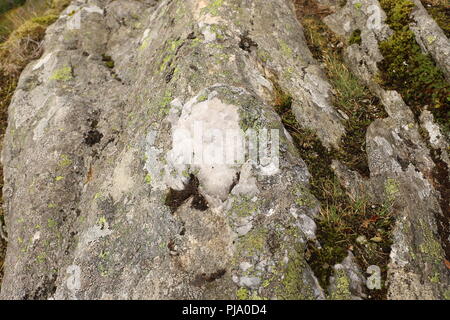 Gros plan du rock avec pierre gemme quartz et de la mousse sur le mont Ulriken, Bergen. La nature du Nord, les montagnes, les fjords, la randonnée. La Norvège, Scandinavie, tourisme, lan Banque D'Images