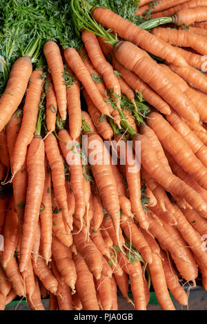 Les carottes en vente sur un étal de légumes au marché des fermiers de Stroud. Stroud, Gloucestershire, Angleterre Banque D'Images