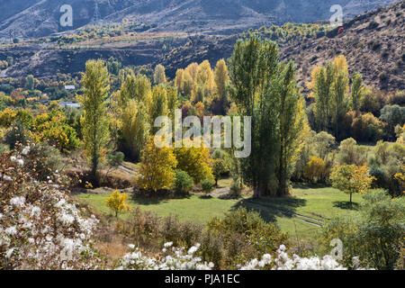 La vallée de Yeghegis, Vayots Dzor province, l'Arménie Banque D'Images