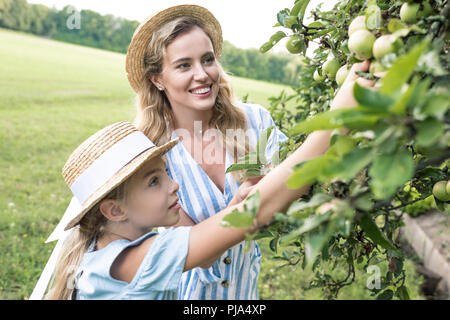 Happy mother and daughter picking apples ensemble Banque D'Images