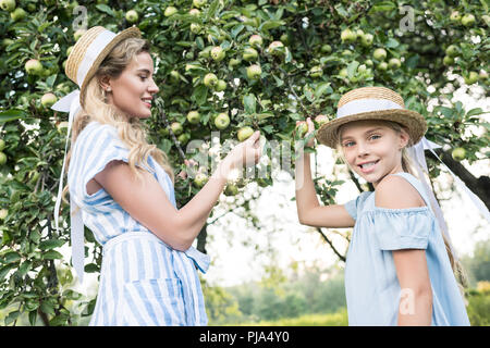 Heureuse mère et fille dans les chapeaux de paille récolte des pommes ensemble Banque D'Images