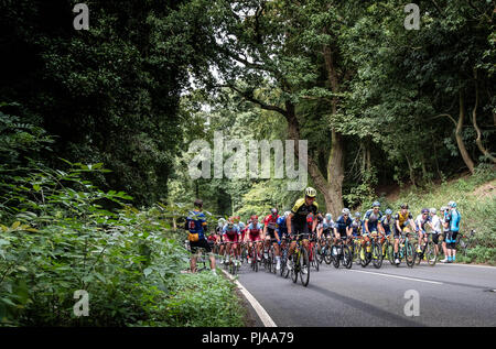 Edge Hill, au Royaume-Uni. 5 septembre 2018. Le pelaton Edhe heads up Hill lors de l'étape 4 de l'OVO men's Tour of Britain Crédit : lovethephoto/Alamy Live News Banque D'Images