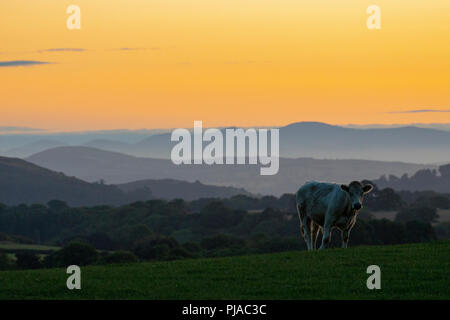 Flintshire, au nord du Pays de Galles,septembre 2018. Météo France : Après une chaude journée ensoleillée dans le Nord du Pays de Galles la journée se termine avec un ciel clair et un magnifique coucher de soleil sur les terres agricoles en milieu rural Flintshire près du village de Lixwm et au-delà pour les montagnes de Snowdonia National Park Banque D'Images