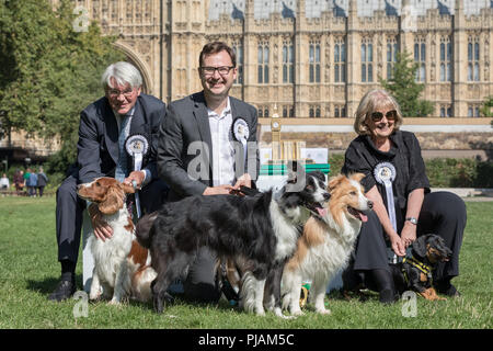 Londres, Royaume-Uni. 6 Septembre, 2018. 26e assemblée annuelle de l'année du Chien de Westminster. Crédit : Guy Josse/Alamy Live News Banque D'Images