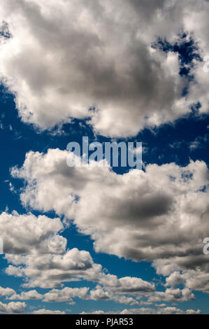 Cumulus Nuages puffy blanc hargneux avec ciel bleu. Banque D'Images