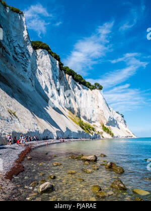 Les touristes à pied, Møns Klint, célèbres falaises de craie, île de Mons, le Danemark, l'Europe. Banque D'Images