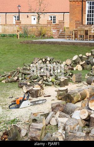 La coupe de bois avec une scie à chaîne dans un jardin anglais avec une grande maison de campagne dans l'arrière-plan Banque D'Images