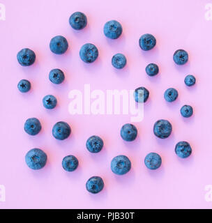 Mise à plat de l'arrière-plan de couleur pastel sur les bleuets. Banque D'Images