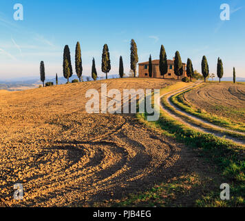 Vue de la villa dans le Val de Val d'Orcia. Un champ labouré entoure la villa avec des cyprès. Banque D'Images