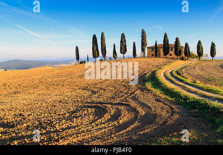 Vue de la villa dans le Val de Val d'Orcia. Un champ labouré entoure la villa avec des cyprès. Banque D'Images