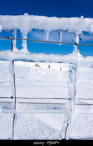 Voir à la recherche au moyen d'une clôture métallique à glace laden les marcheurs à travers les champs couverts de neige là-haut, dans les Cévennes, France Banque D'Images