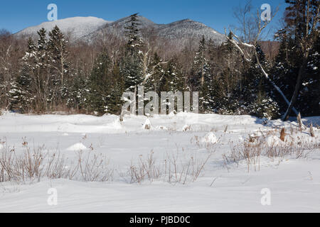 Mont Carrigain de près de la rivière dans le Sawyer Livermore, New Hampshire pendant les mois d'hiver. Ce domaine a été identifié au cours de la Sawyer Rive Banque D'Images