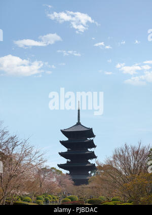 Pagode à Cinq étages entouré de cerisiers dans le bouddhiste temple Tō-ji de Kyoto sous un ciel bleu parsemé de nuages. Banque D'Images