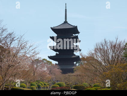 KYOTO, JAPON - 25 mars 2018 : des cerisiers en fleurs et pagode à un temple japonais. Banque D'Images