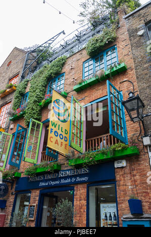 Neals Yard, une petite cour de boutiques colorées et des restaurants, Seven Dials, près de Covent Garden, London, England, UK Banque D'Images