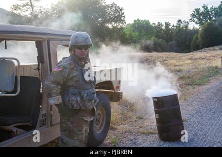 FORT HUNTER LIGGETT, CALIFORNIE - Le s.. Chris Castillo, 1/417ème d'infanterie, fixe un mortier simulé pour la 890e de CTIC Transport Logan, Utah pour effectuer leur guerrier mortel pour les voies de formation de la phase d'appui au combat annuel d'entraînement (CSTX) sur Fort Hunter Liggett, le 12 juillet 2018. En simulant des scénarios tels que le feu indirect, Observateur, contrôleur/formateurs peuvent évaluer les capacités d'une unité dans un vrai champ de bataille. Banque D'Images